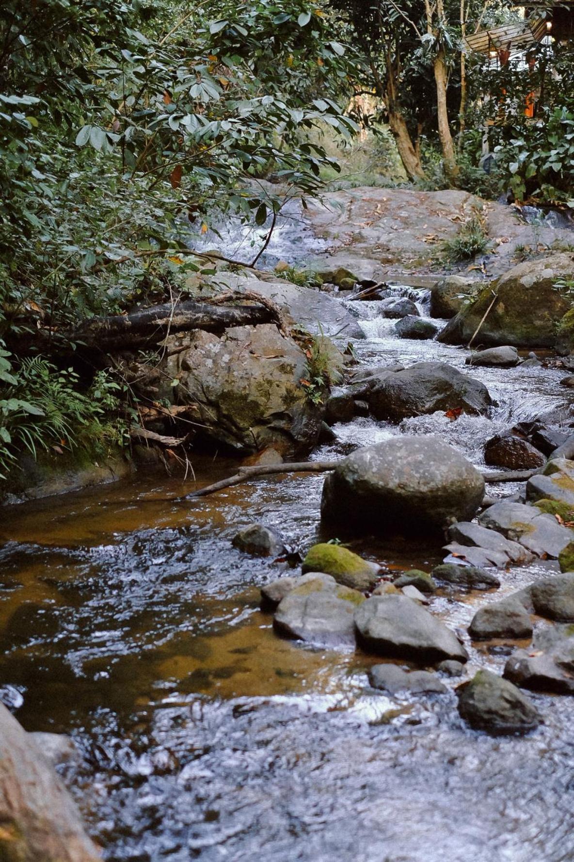 Bee Forest Ban Pok Nai Экстерьер фото